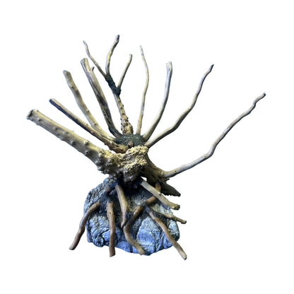 Hardscape Driftwood | 20cm x 8cm x 20cm