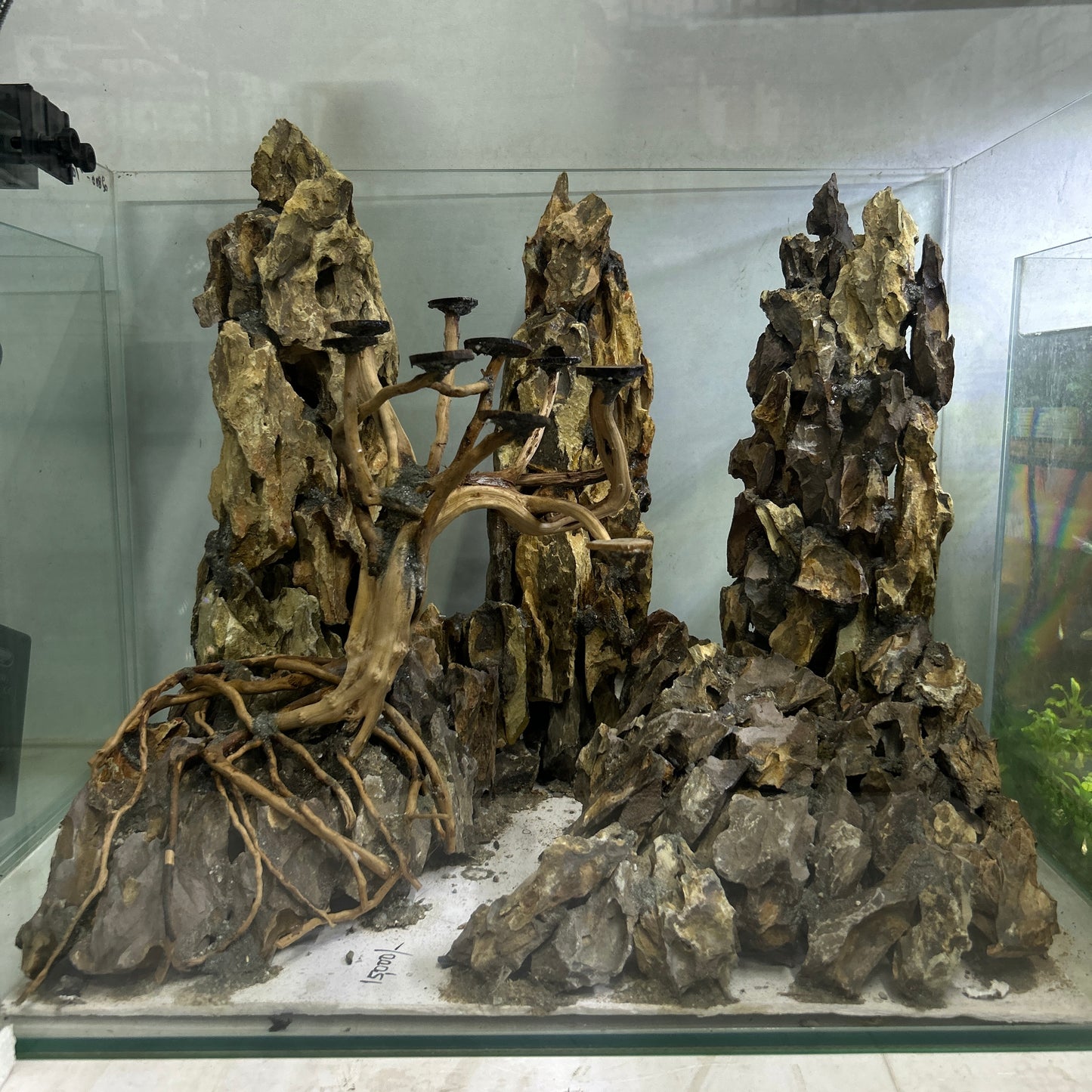 Hardscape Driftwood | 45cm x 35cm x 45cm
