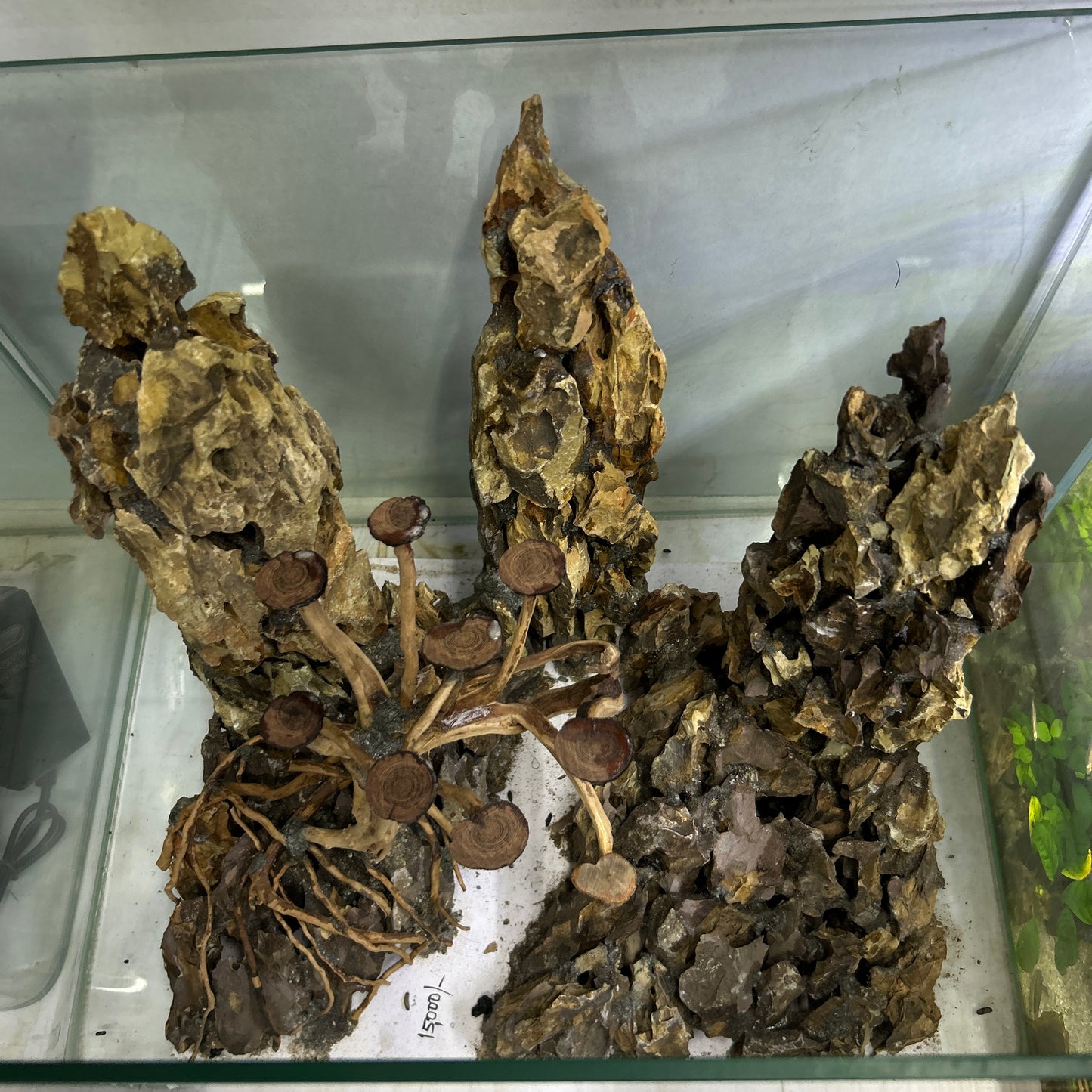 Hardscape Driftwood | 45cm x 35cm x 45cm