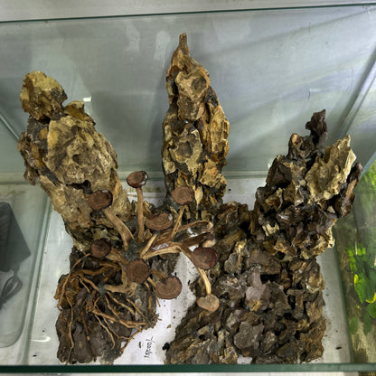 Hardscape Driftwood | 45cm x 35cm x 45cm