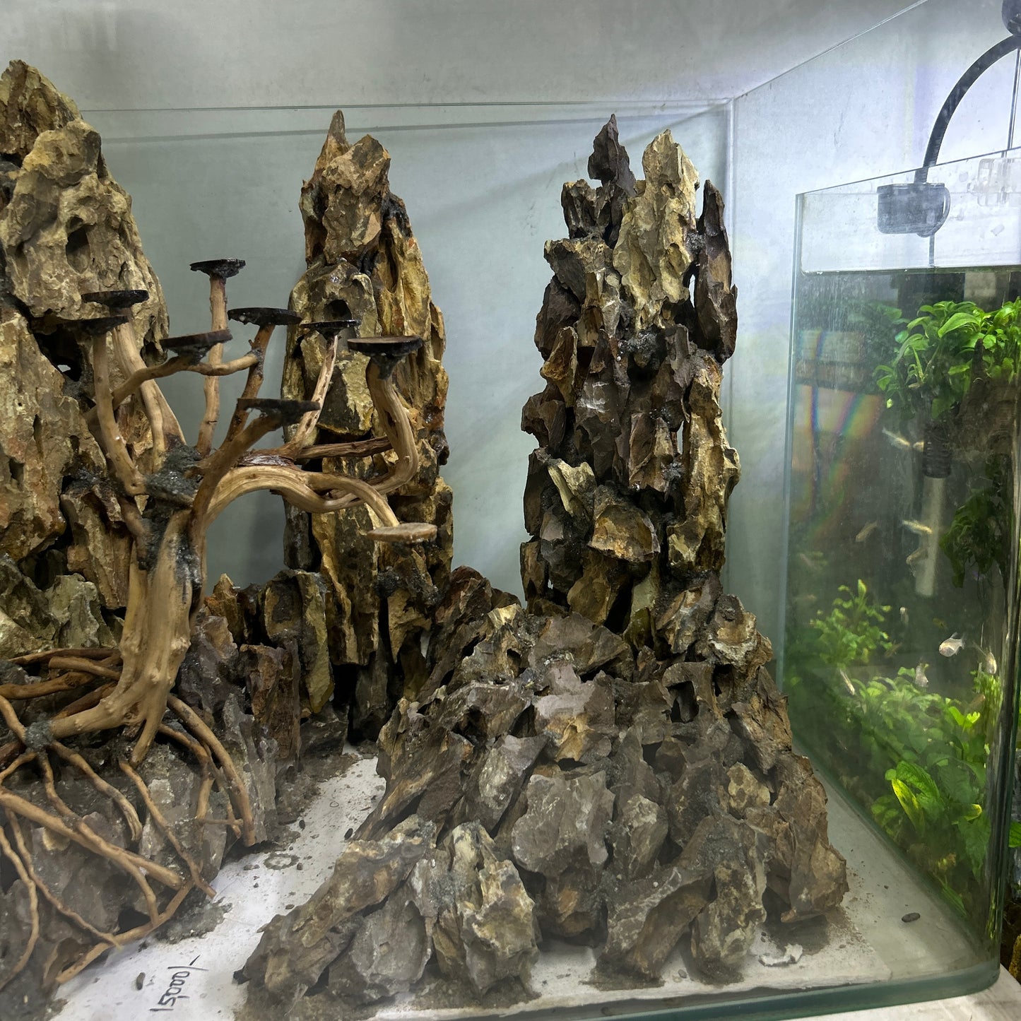 Hardscape Driftwood | 45cm x 35cm x 45cm