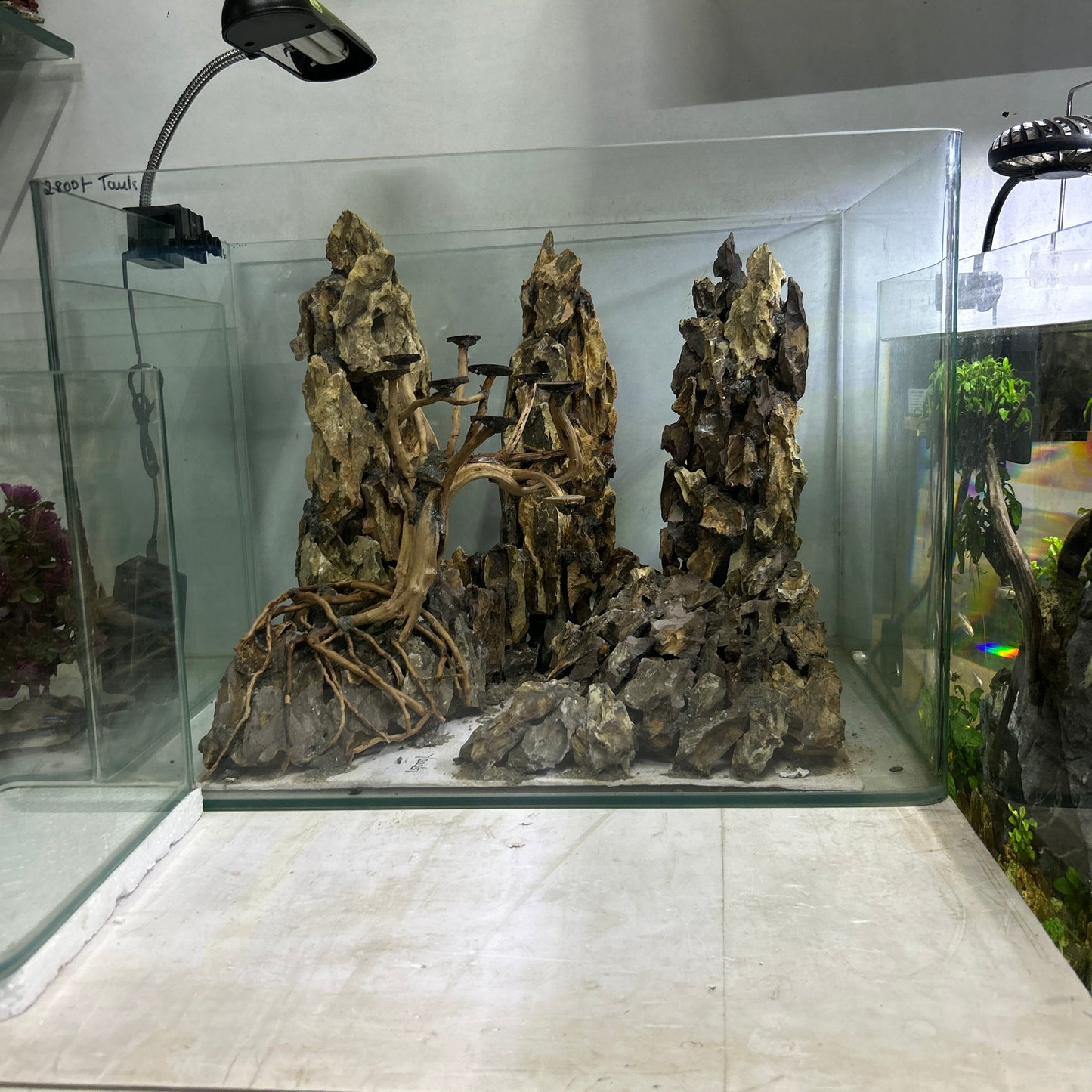 Hardscape Driftwood | 45cm x 35cm x 45cm