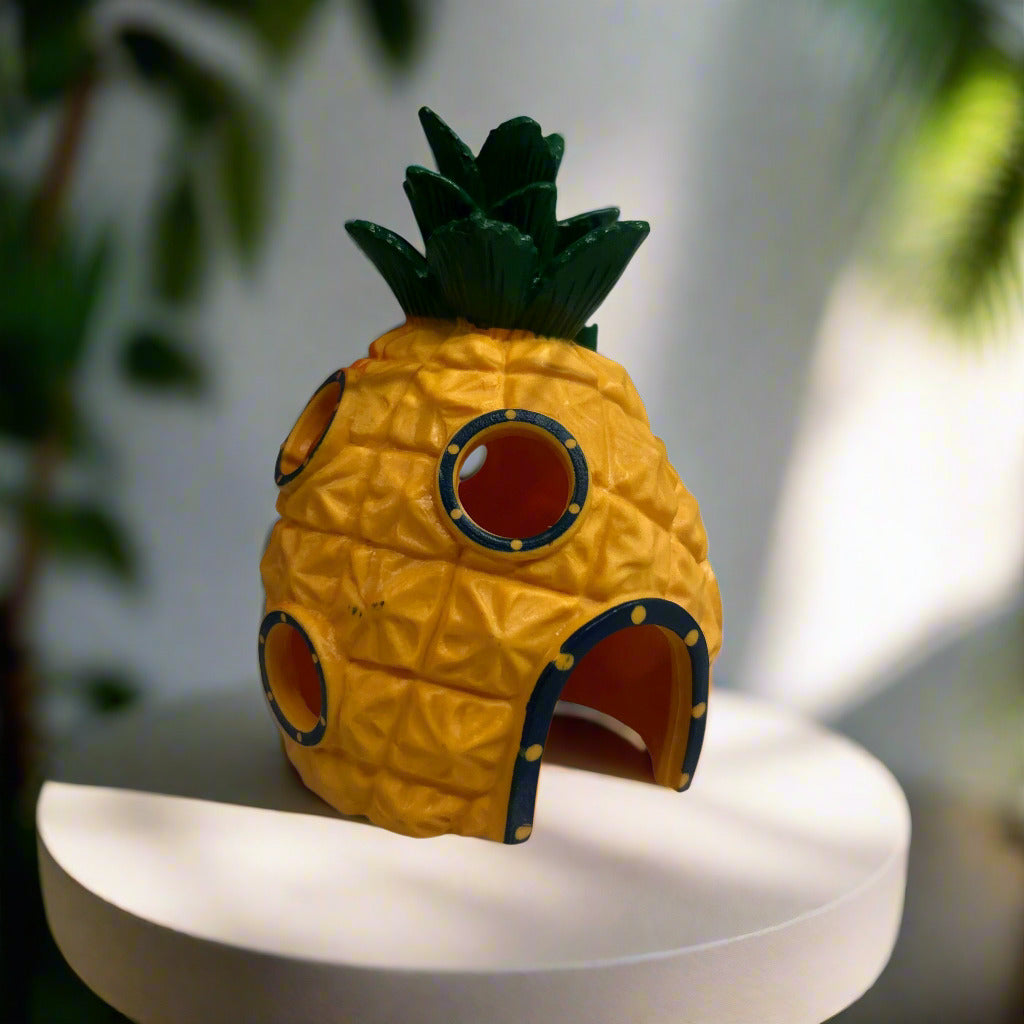 Decor Pineapple House