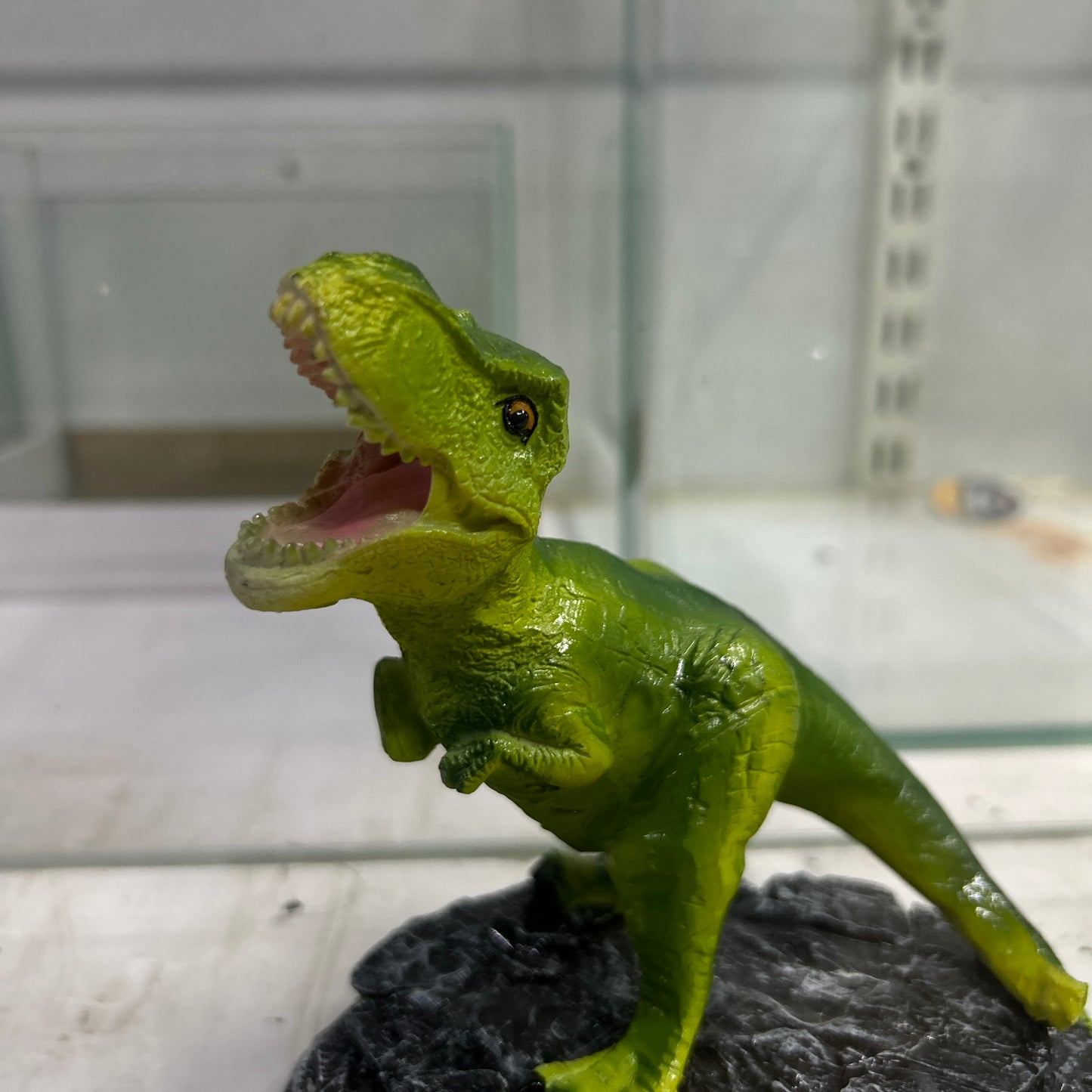 Decor Dinosaur