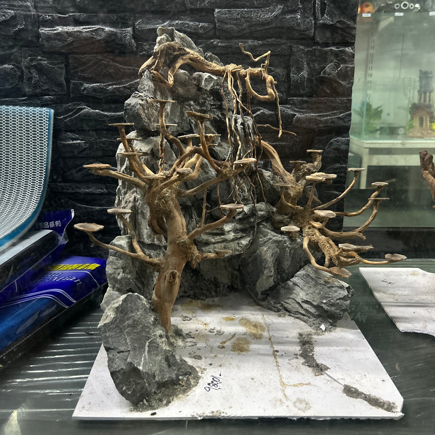 Hardscape Driftwood | 40cm x 40cm x 40cm