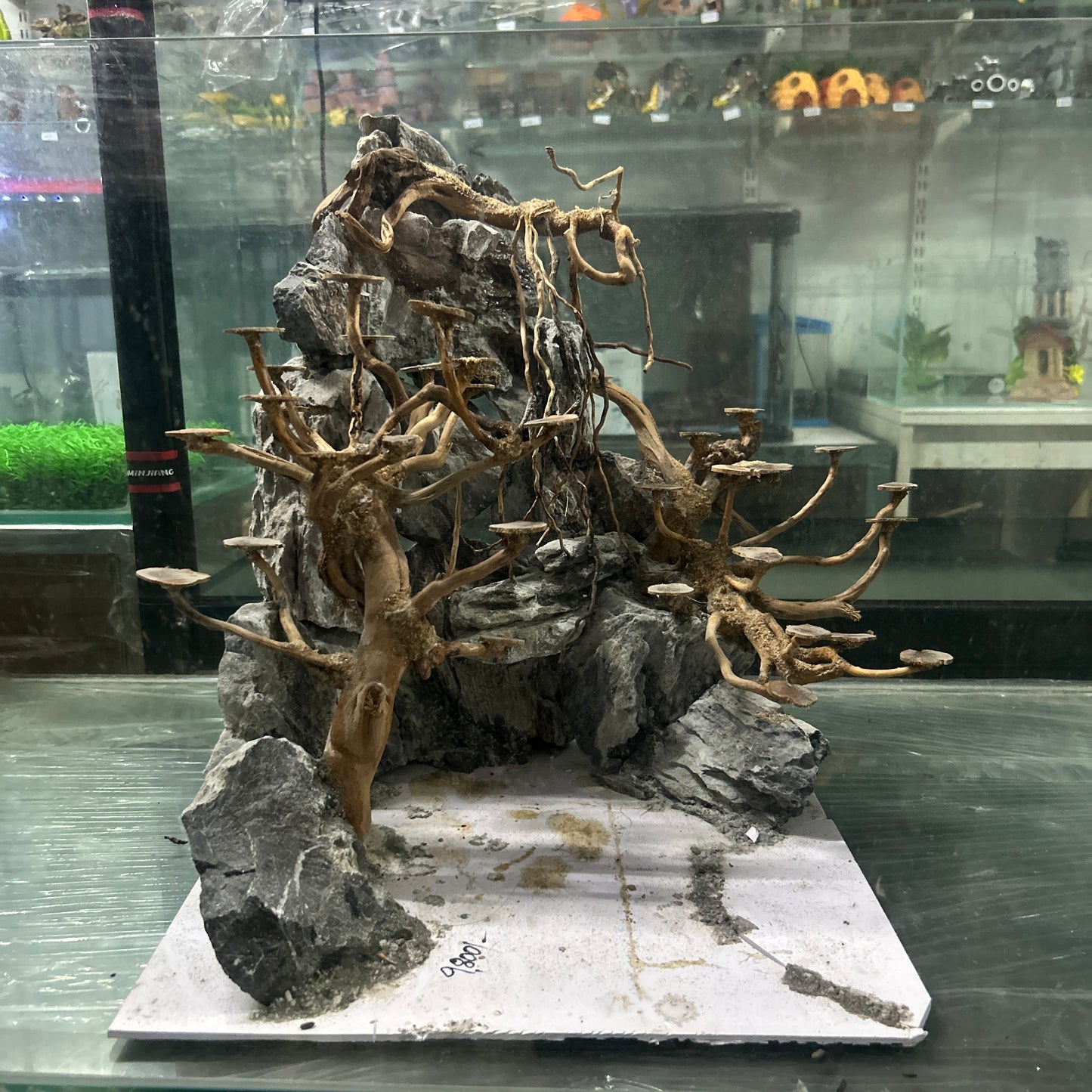 Hardscape Driftwood | 40cm x 40cm x 40cm