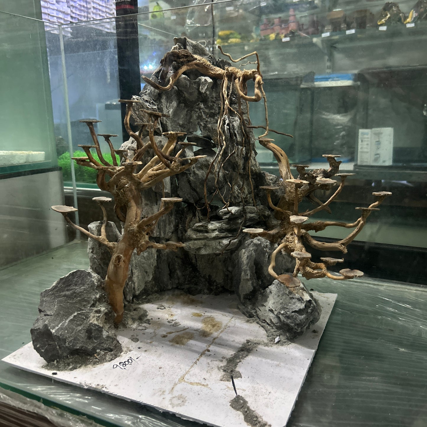 Hardscape Driftwood | 40cm x 40cm x 40cm