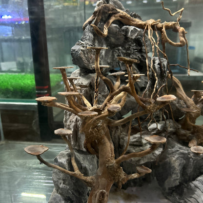 Hardscape Driftwood | 40cm x 40cm x 40cm