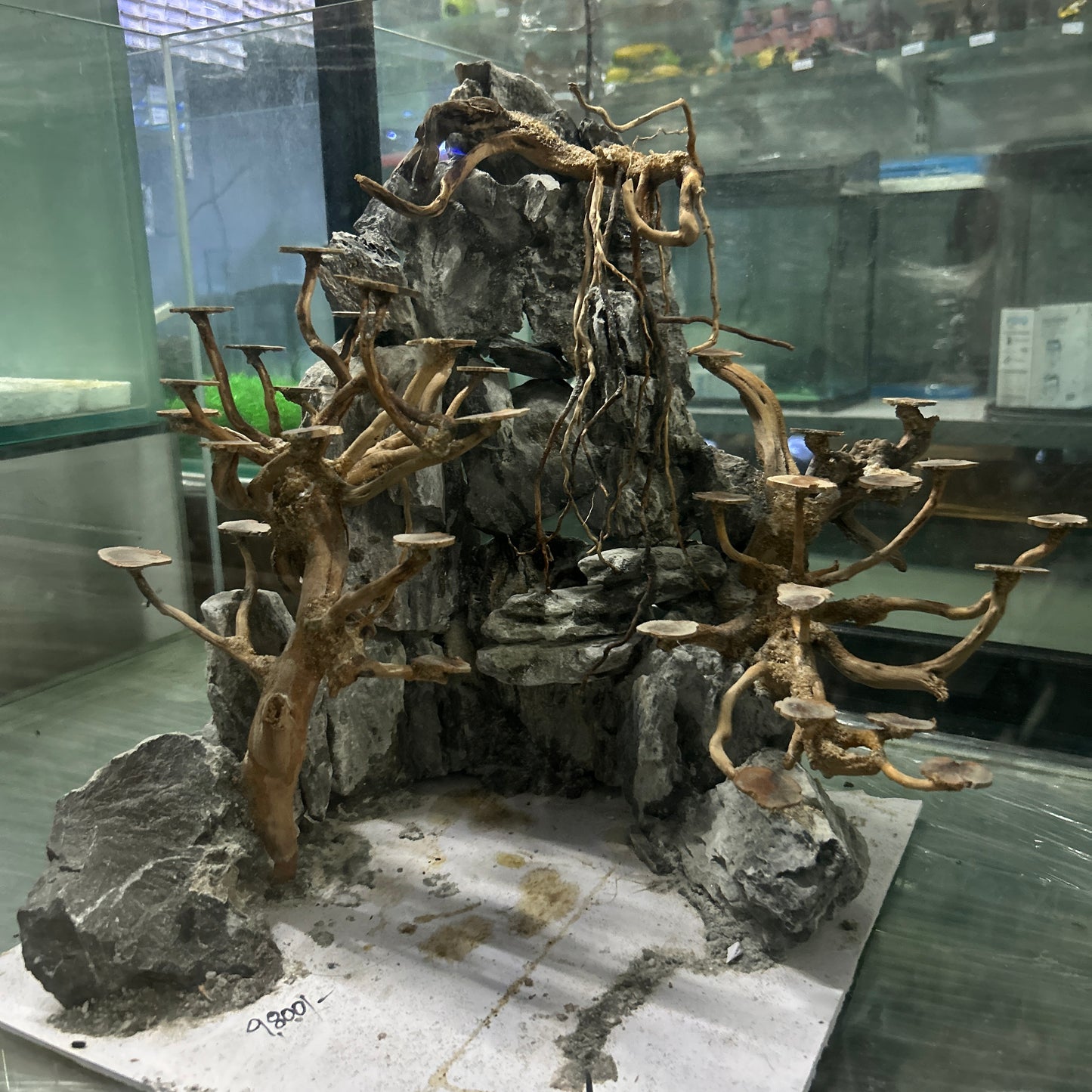 Hardscape Driftwood | 40cm x 40cm x 40cm