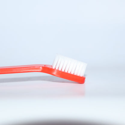 Driftwood cleaning Brush