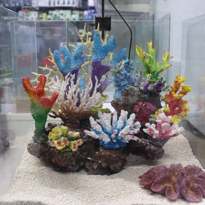 12 in 1 set Imported Coral