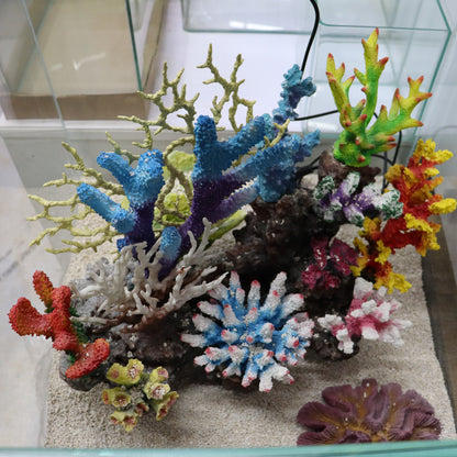 12 in 1 set Imported Coral