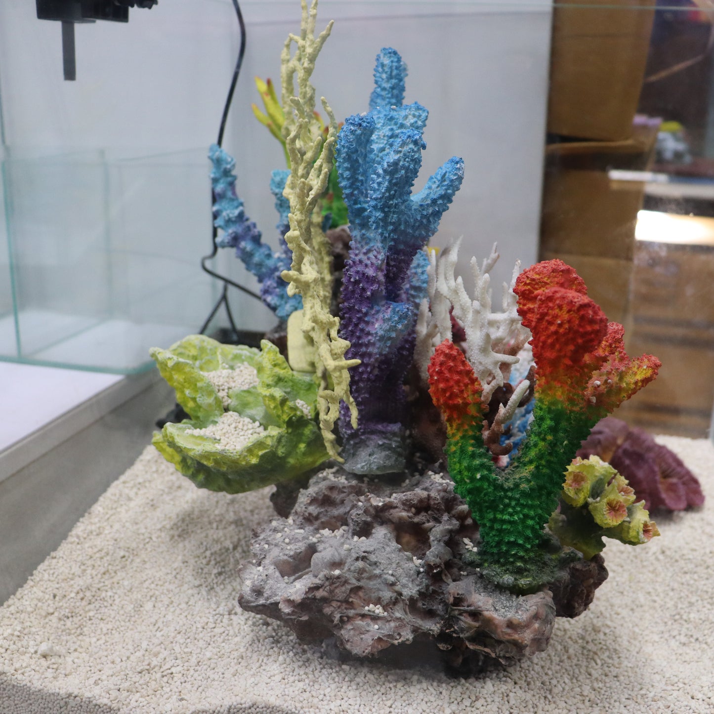 12 in 1 set Imported Coral