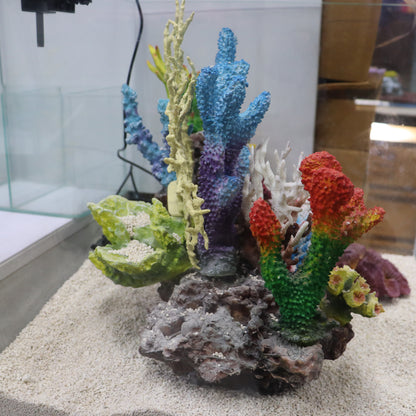 12 in 1 set Imported Coral