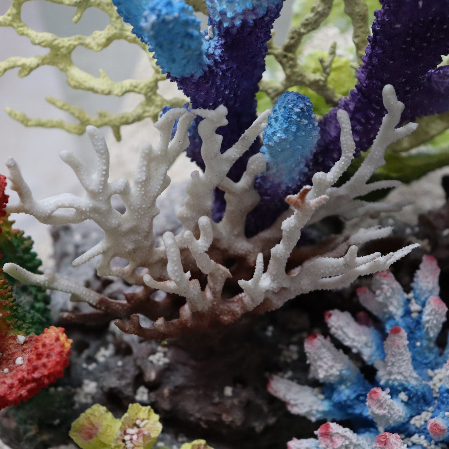 12 in 1 set Imported Coral