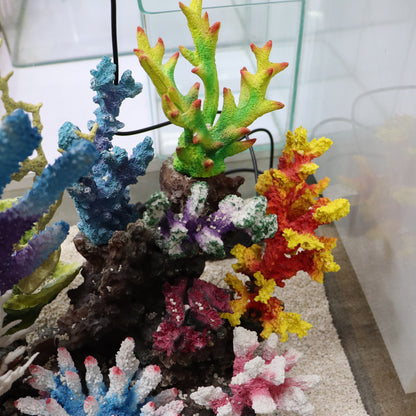 12 in 1 set Imported Coral