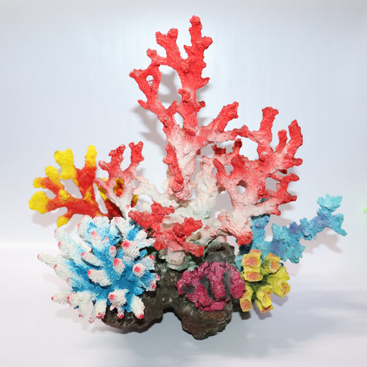 6 in 1 Imported coral Set