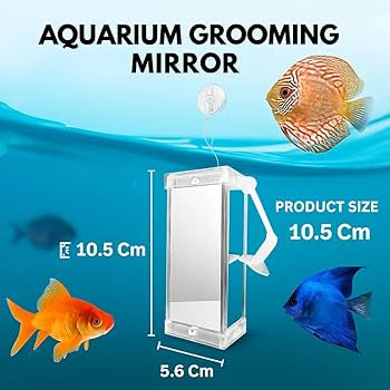 Grooming mirror | Rumble fish training three side mirror | DYJ 10