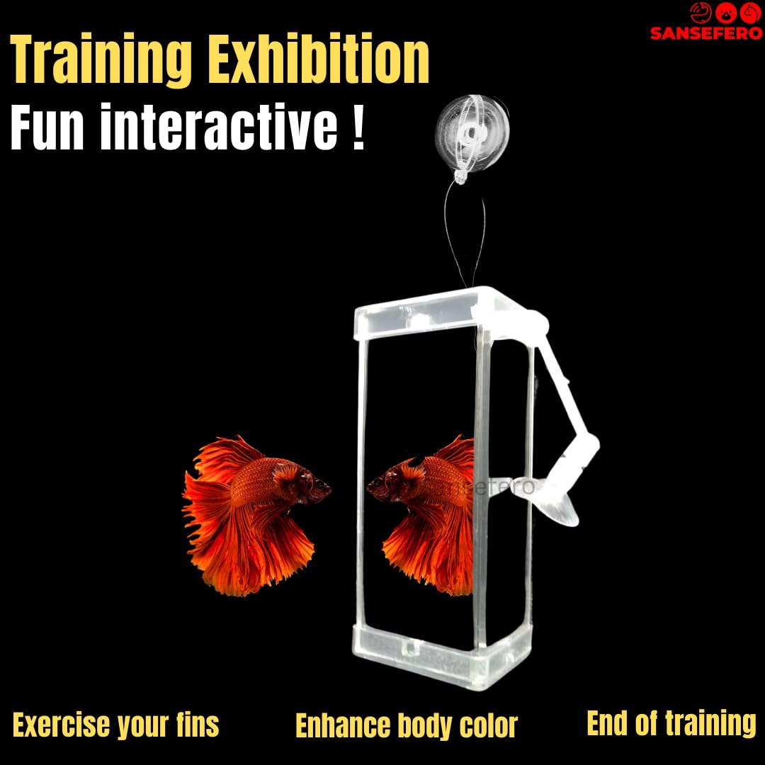 Grooming mirror | Rumble fish training three side mirror | DYJ 10