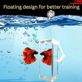 Grooming mirror | Rumble fish training three side mirror | DYJ 10