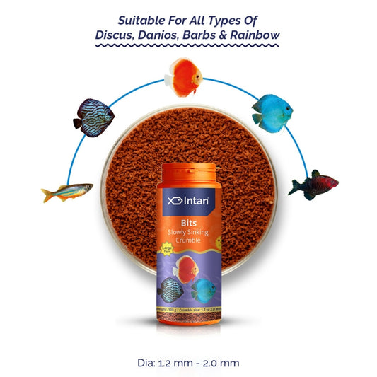 Intan Bits Slow Sinking Crumble | Premium Aquarium Fish Food
