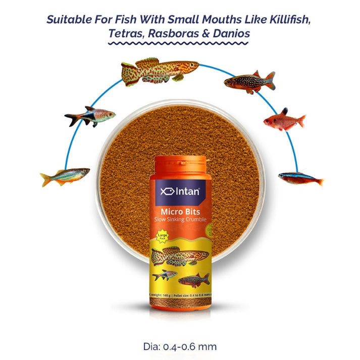 Intan Micro Bits | Premium Micro Fish Food for Fry & Nano Fish – Veda ...