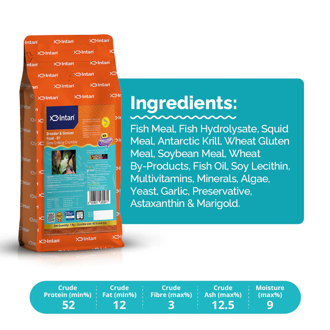 Intan Breeder & Grower Food | Premium High Protein Fish Food | 35g