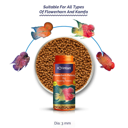 Intan Flowerhorn Pellets (3mm dia) 150g