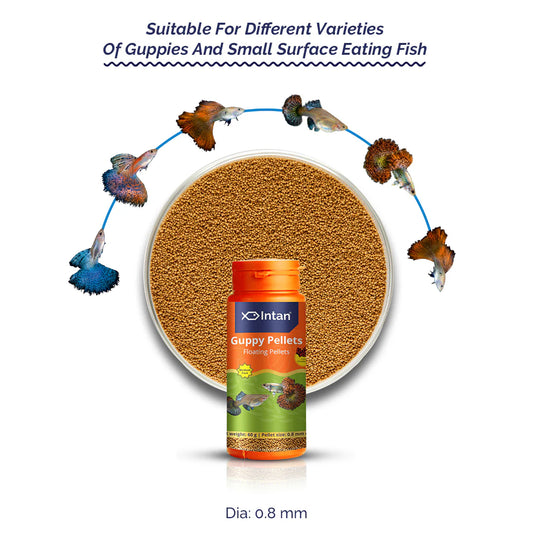 Intan Guppy Pellets (0.8mm dia) | 60g