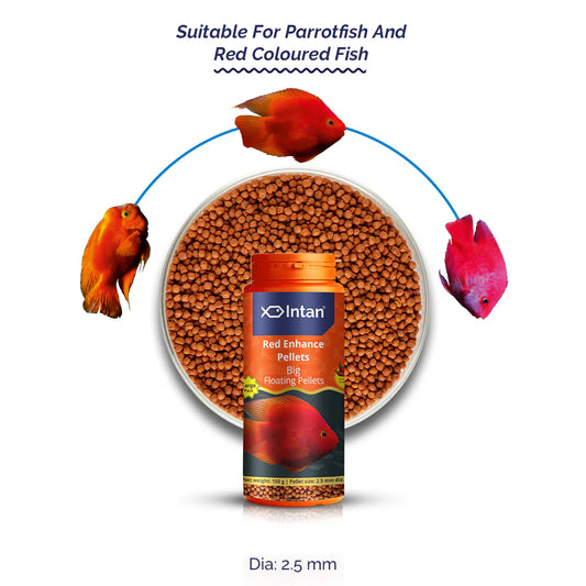 Intan Red Enhance Pellets | Color Enhancing Fish Food