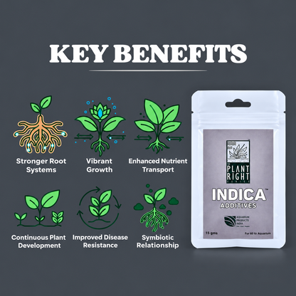 Indica Additives 15g | The Plant Right Series
