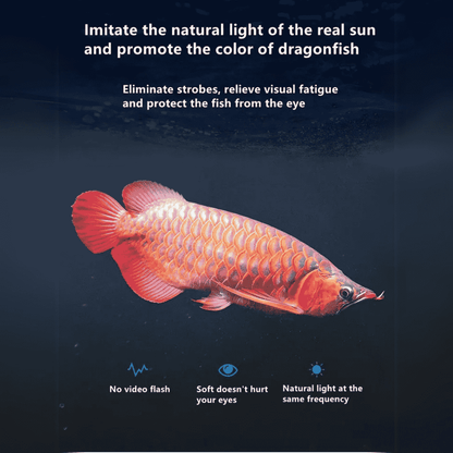 Neo Helios Solar Booster ST-360 | Tanning Light