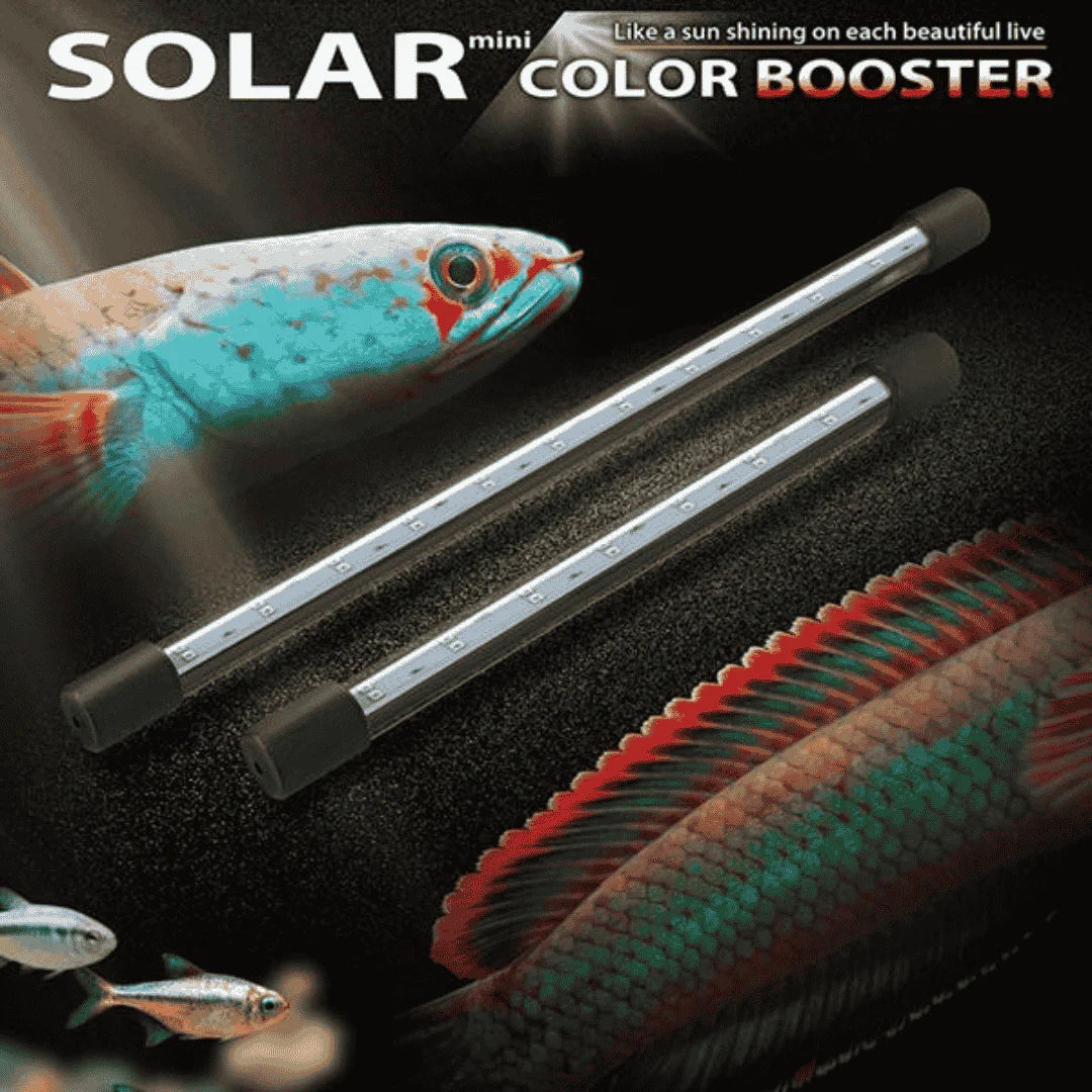 Neo Helios Solar Booster ST-360 | Tanning Light