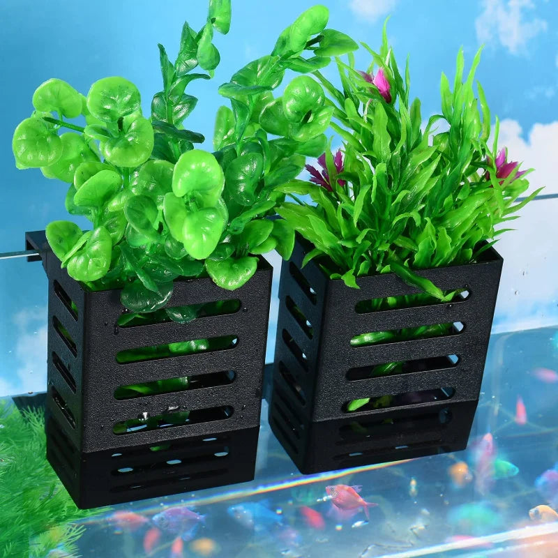 hydroponic plants with fish Fish tank Hydroponic Plant basket | Cultivation cup