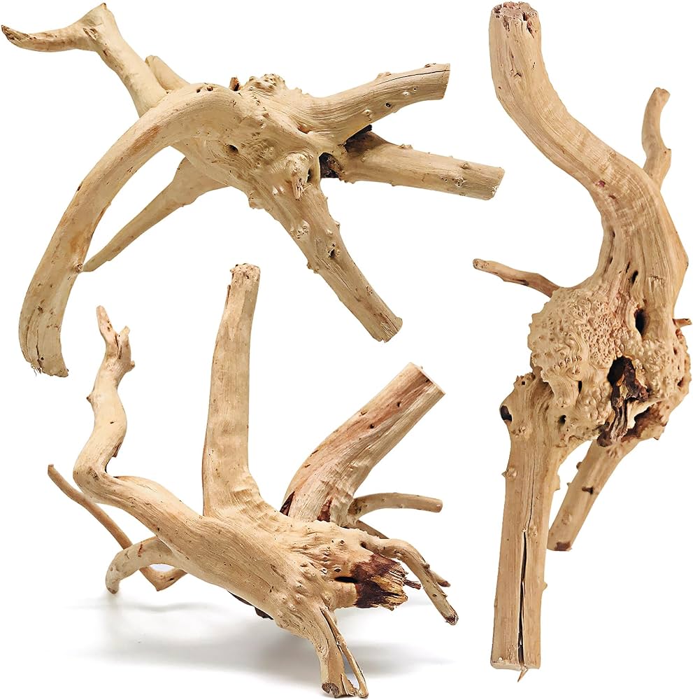 Driftwood | Small size