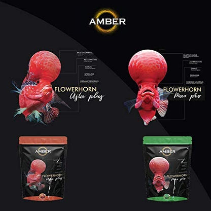 Amber Asta Plus