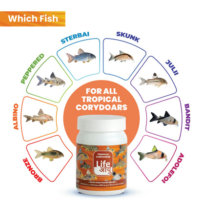 Life Aayuh Corydoras Food | 15g Sinking Pellets