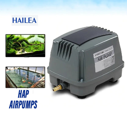 Hailea HAP 80