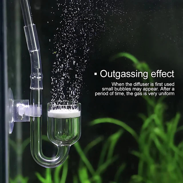 CO2 Diffuser | Glass