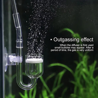 CO2 Diffuser | Glass
