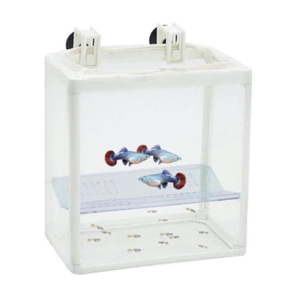 Dophin breeder box - BB 12