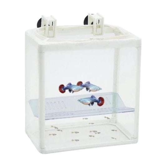 Dophin breeder box - BB 12