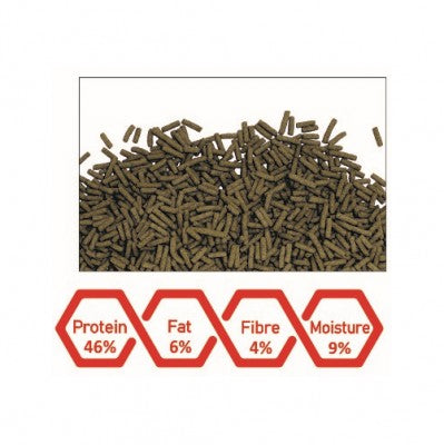 Arowana Nutri sticks
