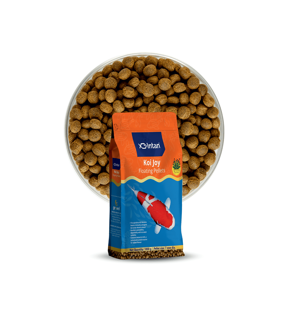 Intan Koi Joy Pellets - 1kg (7mm dia)