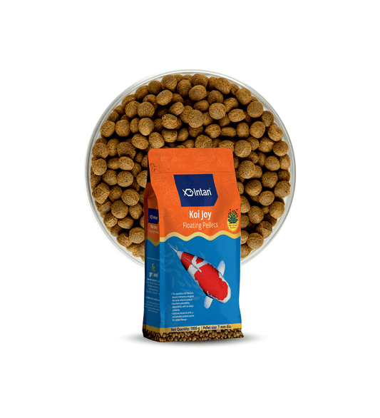 Intan Koi Joy Pellets 1kg 7mm | Premium Koi Fish Food