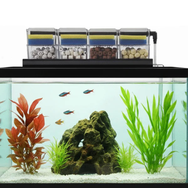 Bluepet Drip Box Multi level Filter – Veda Aquarium