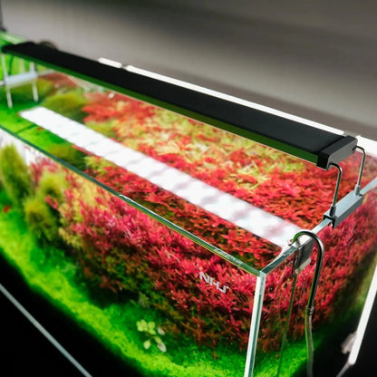 Chihiros B120 51.5W | App-Controlled LED Aquarium Light for Planted Tanks