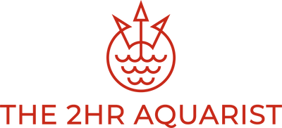 the 2hr aquarist