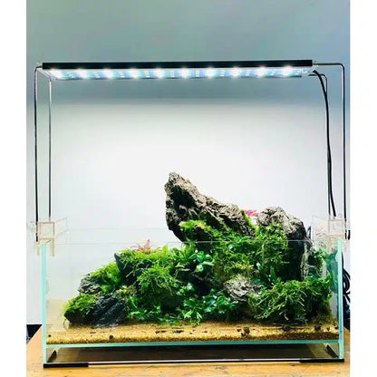 Deyao Aquarium LED E49 | RGB Light