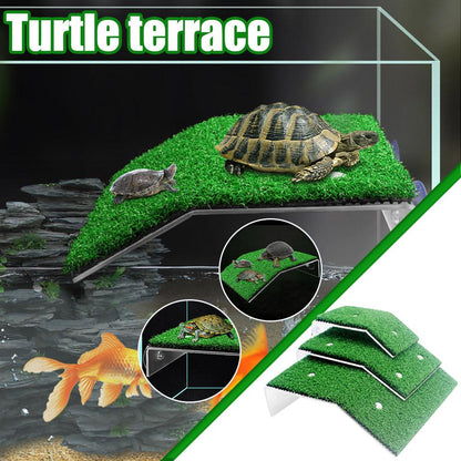 Turtle Roof terrace